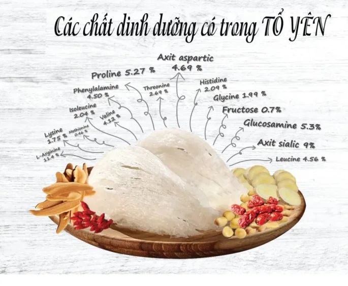 Cấu tạo Tổ Yến và các chất dinh dưỡng có trong Tổ Yến